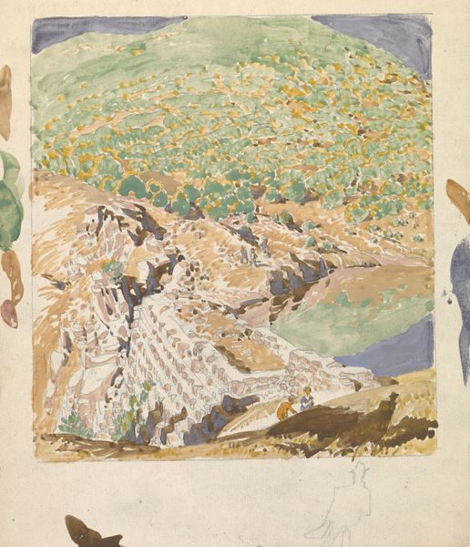 Grand Canyon (Cedar Tree)