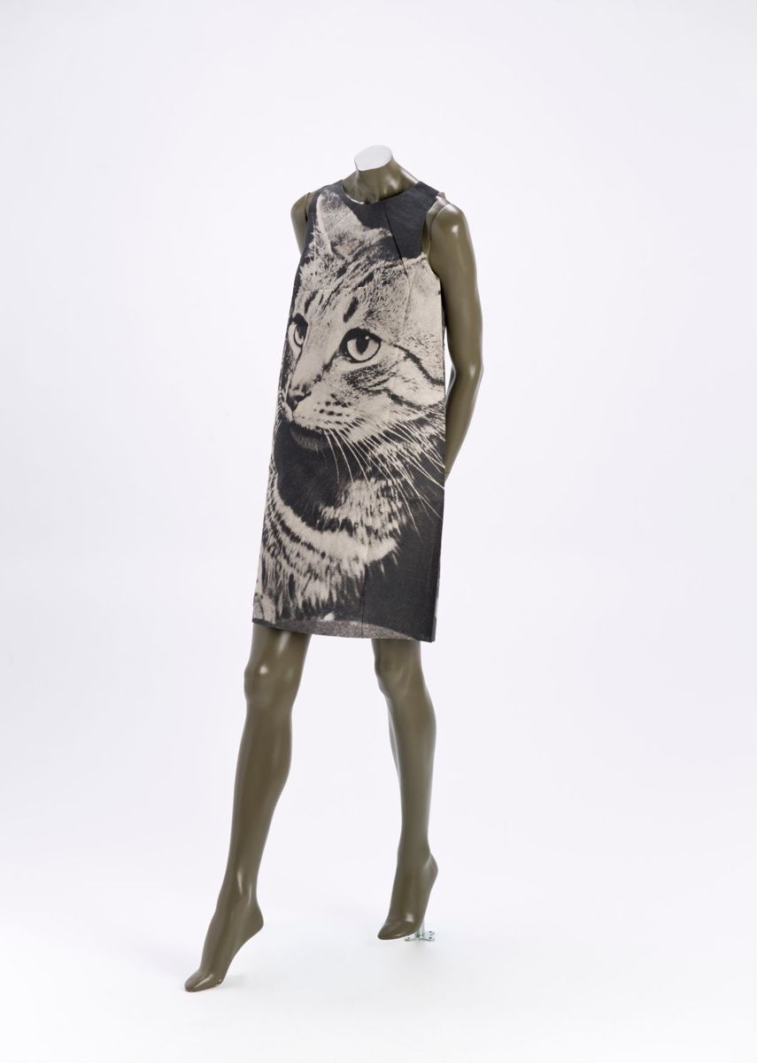 poster paper dress "Cat"
