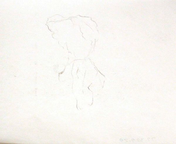 Unidentifiable Sketch