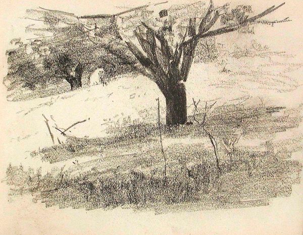 Landscape with Tree (recto), Landscape with Footbridge (verso)