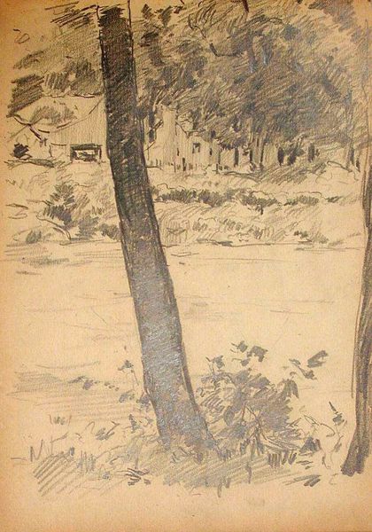 Houses Through the Trees