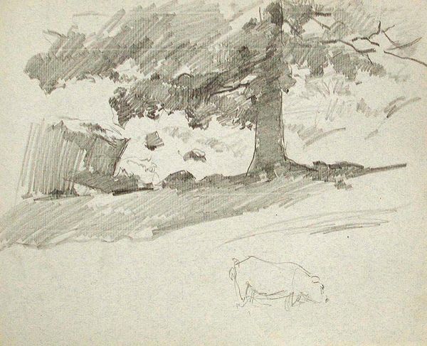 Landscape with Pig (recto), Hillside (verso)