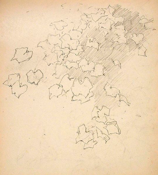 Leaves (recto), Leaves (verso)