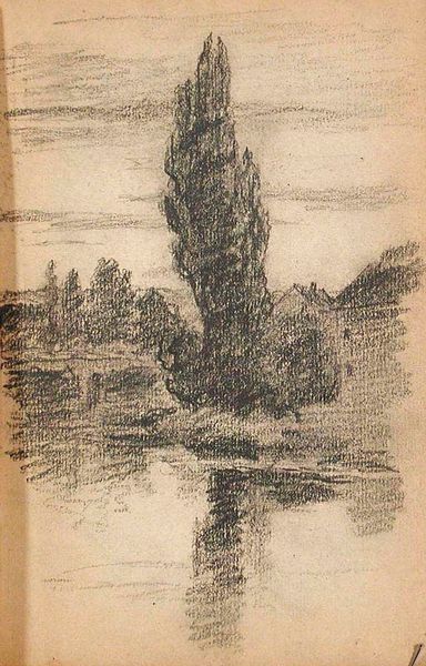 Poplar Tree (recto), Woman Holding Apron (verso)