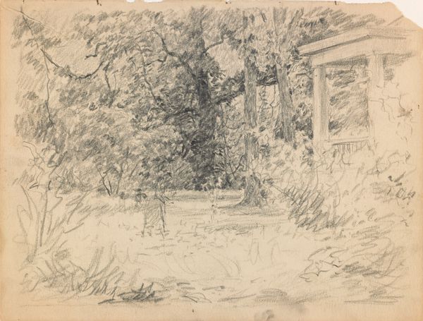 Study for Winifred at the Hermitage