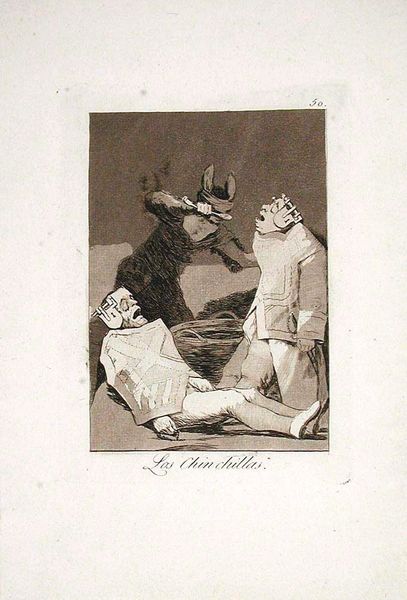 Los Chinchillas (The Chinchillas), Plate 50