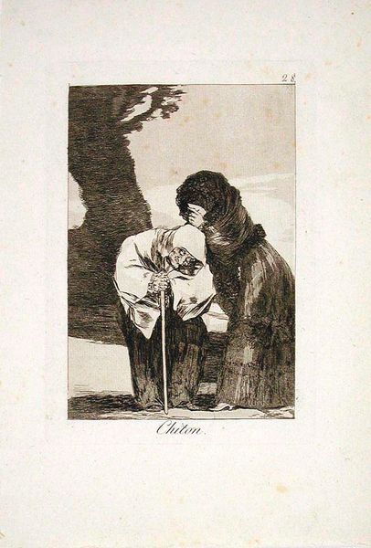 Chiton (Hush), Plate 28