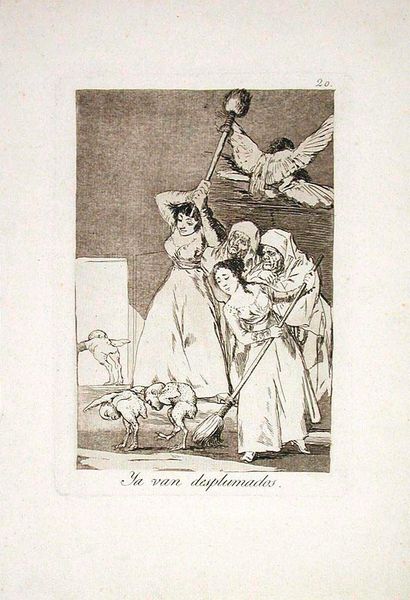 Ya van desplumados (There They Go, Plucked), Plate 20