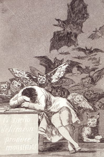El sueño de la razón produce monstruos (The Sleep of Reason Produces Monsters), Plate 43