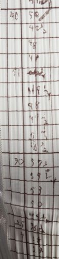 https://iiif.discovernewfields.org/iiif/3/84809-06b5b5e77d142a16