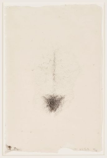 https://iiif.discovernewfields.org/iiif/3/84817-80b075f8fd4a56a2